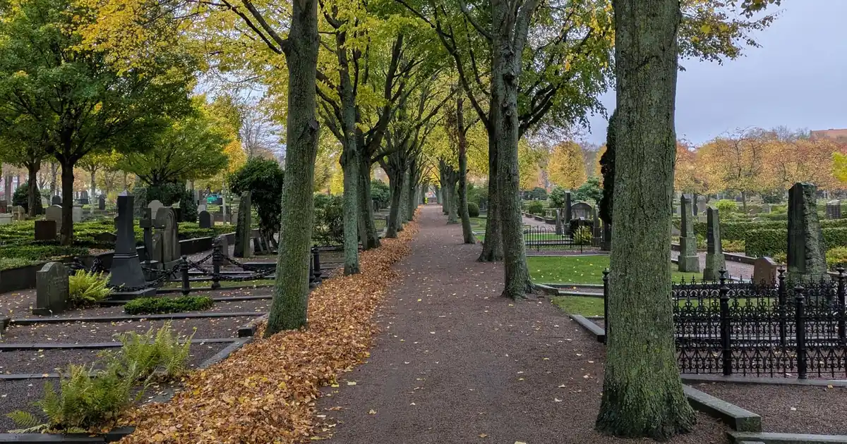 Herbstlicher Friedhofsweg mit Laub zwischen bepflanzten Gräbern – die Zeit, das Grab winterfest zu machen