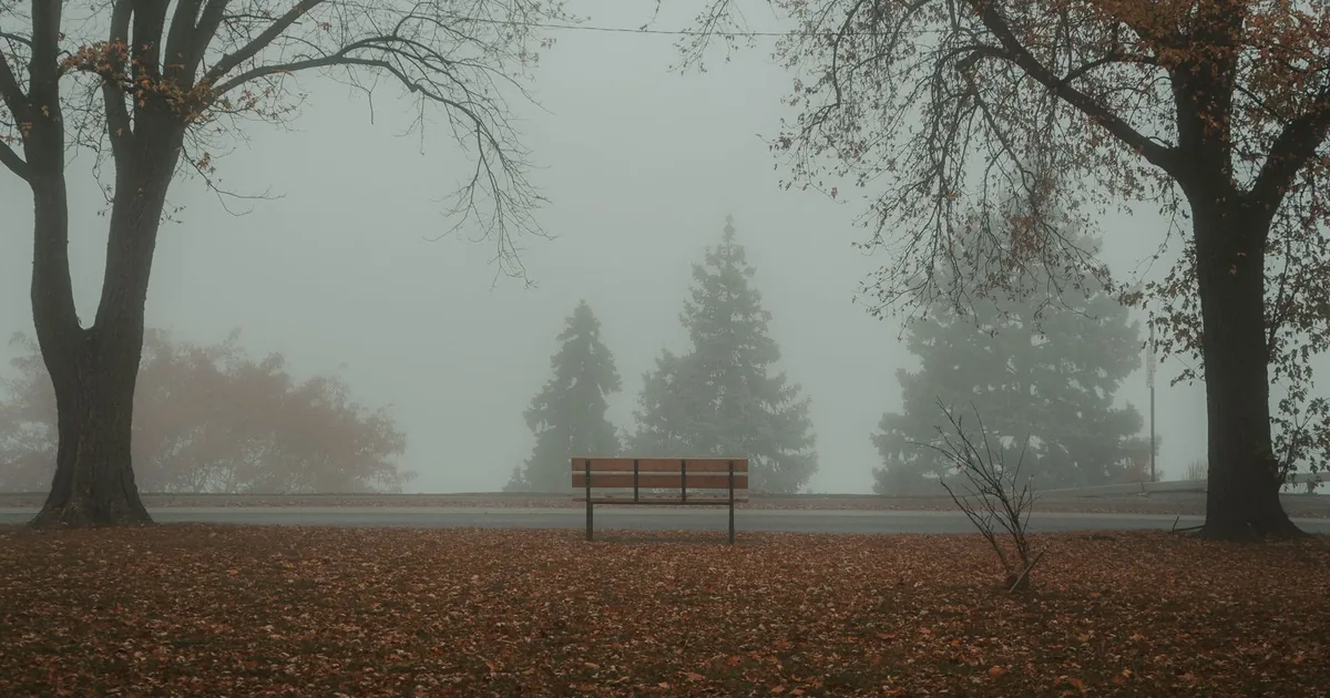 Leere Holzbank auf einer laubbedeckten Wiese im dichten Herbstnebel – Sinnbild für eine anonyme Bestattung ohne eigenes Grab